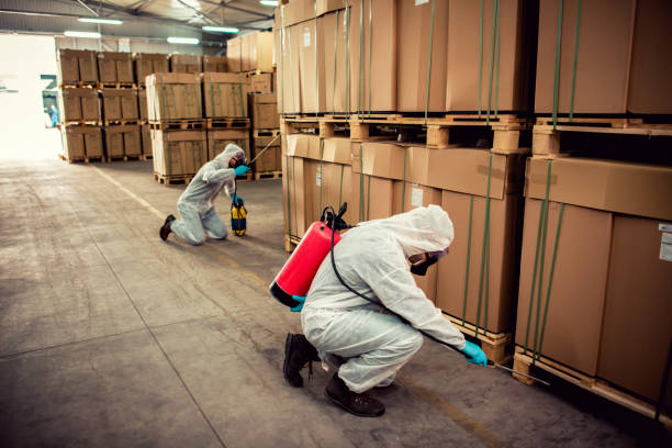 Best Bed Bug Extermination  in Ashland, NE
