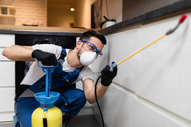 Best Pest Control for Businesses  in Ashland, NE