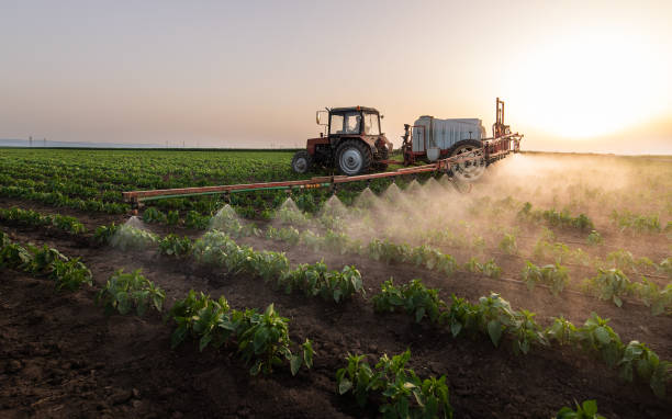 Best Mosquito Control Services  in Ashland, NE