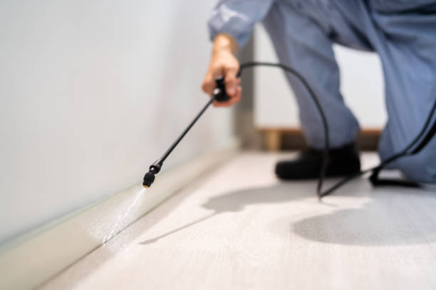 Flea Control Services in Ashland, NE