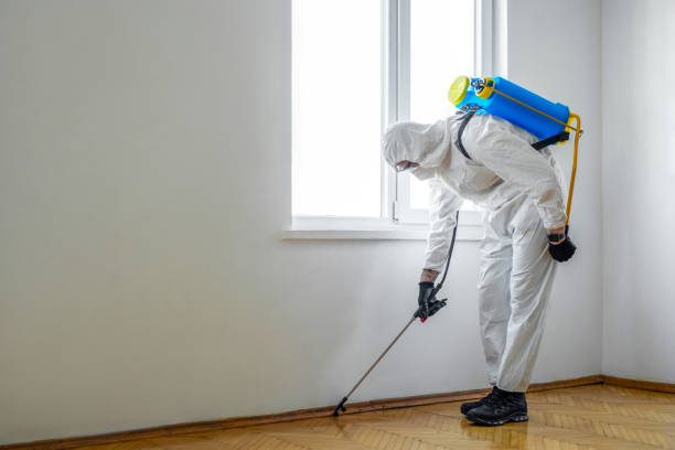 Best Best Pest Control Companies  in Ashland, NE