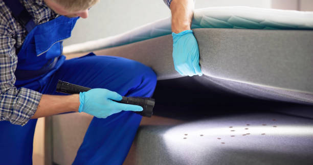 Reliable Ashland, NE Pest Control Solutions