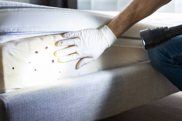 Best Affordable Pest Control Services  in Ashland, NE