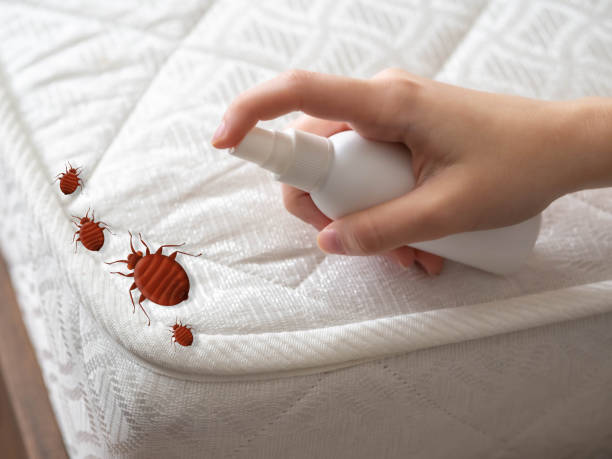 Best Affordable Pest Control Services  in Ashland, NE